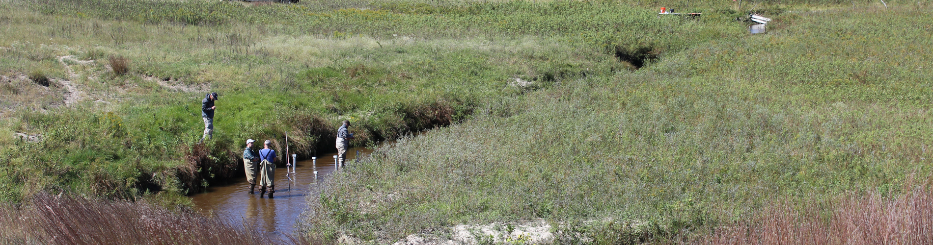 Sampling in River