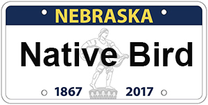 Nebraska Native Bird