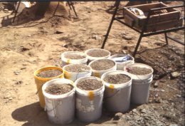 Sized and sorted gravel concentrate that may contain sapphires. Note manually operated sieve at back.