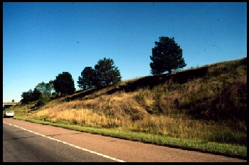 July 8, 1993 (photo 5 of 5)