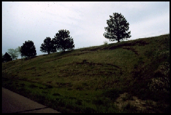 March 20, 1990 (photo 4 of 5)