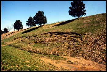 April 17, 1987 (photo 3 of 5)