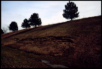March 19, 1987 (photo 2 of 5)