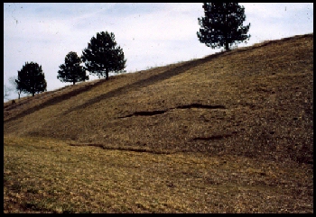 March 4, 1987 (photo 1 of 5)