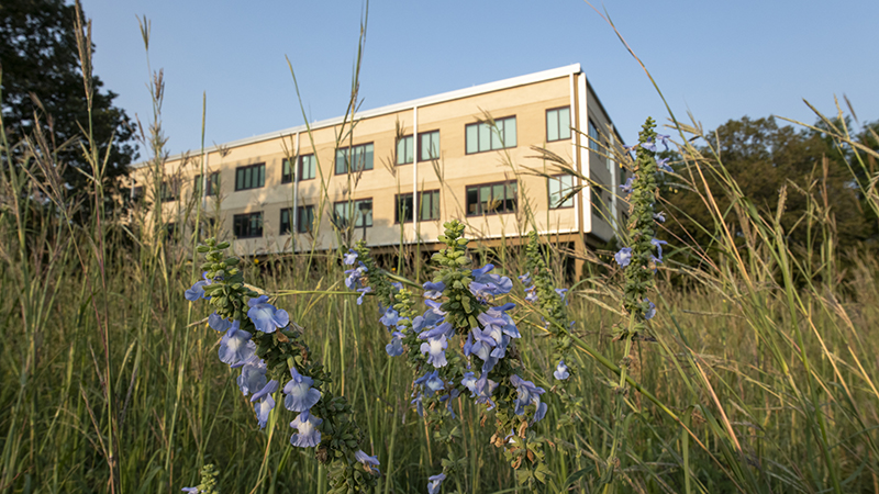 planting in prairie
