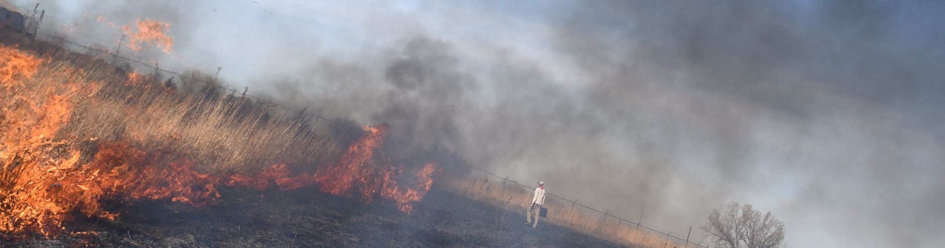Nine Mile Prairie Burn 2019