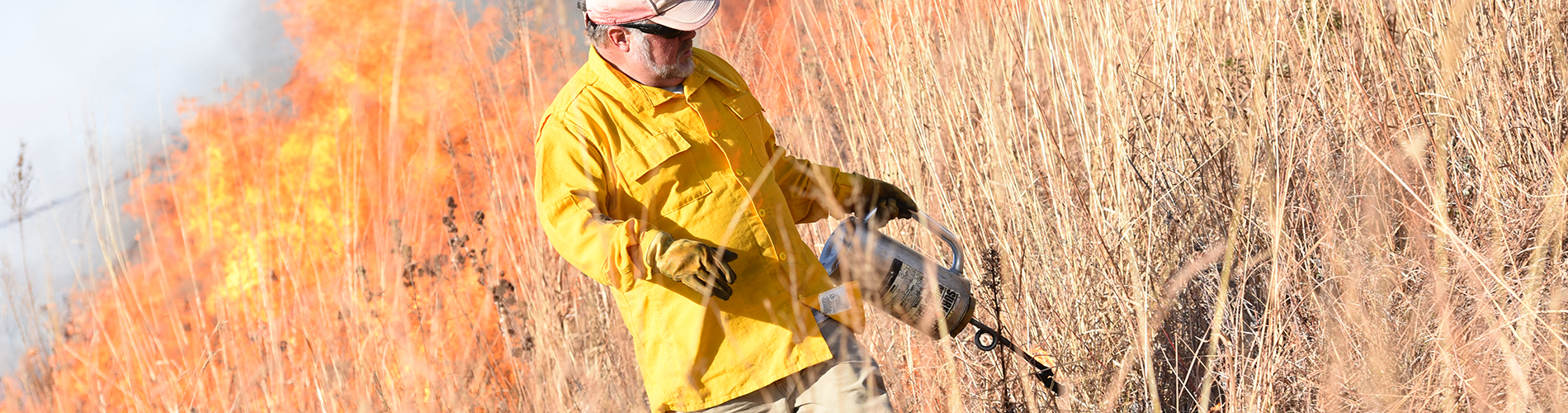 Nine Mile Prairie Burn 2019 - Dave Wedin