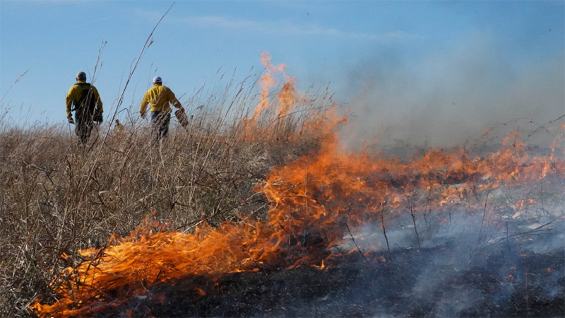 Prescribed Burn