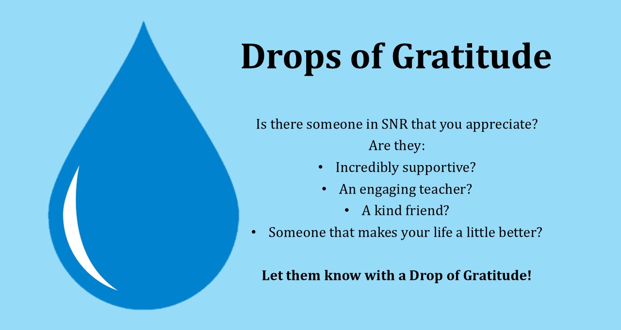 PPT of gratitude