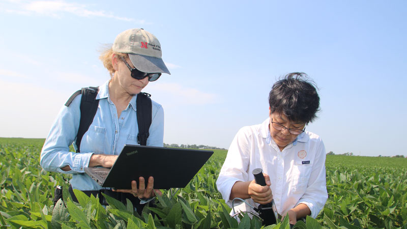 in field making measurement