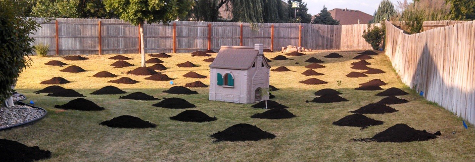 Soil Restoration