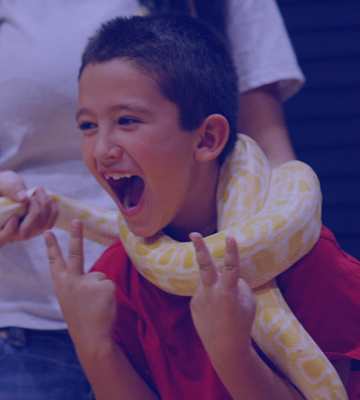 big snake