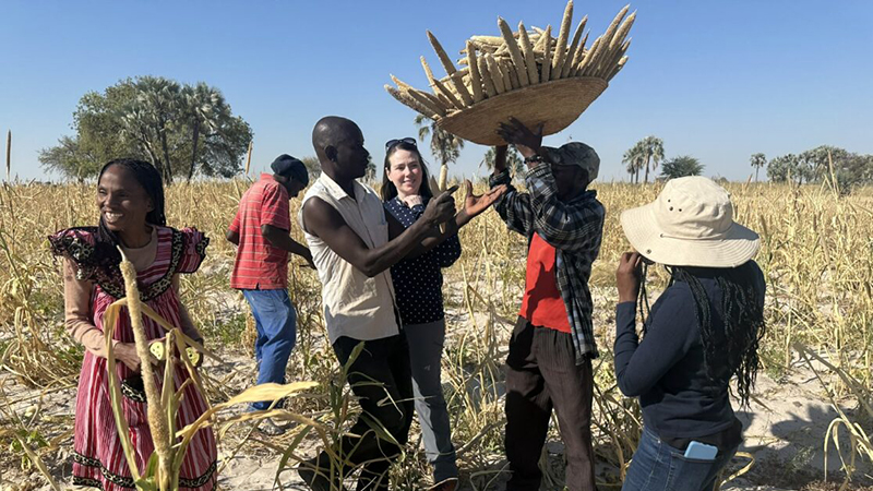 Jill Motschenbecher helping with harvest