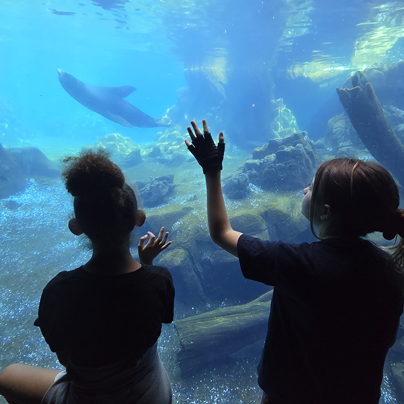 Two children at Overnight at the Zoo