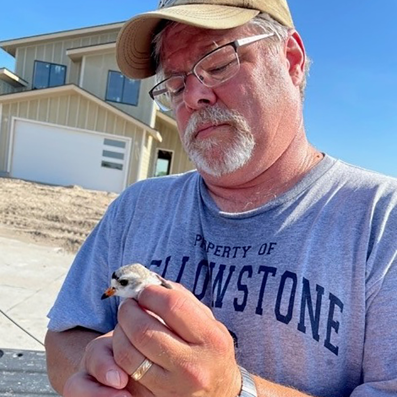 Mark Banding Birds