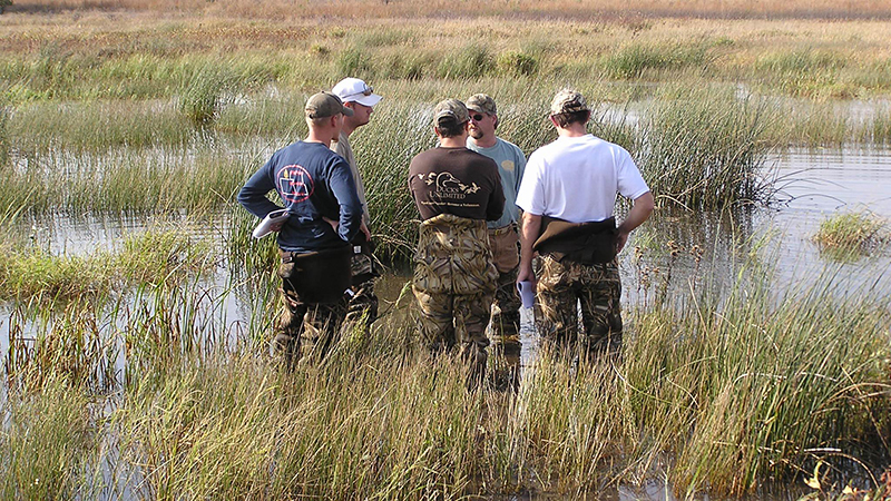 Waterfowl Ecology and Management class