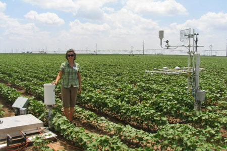 Ayse Irmak in field with research project.