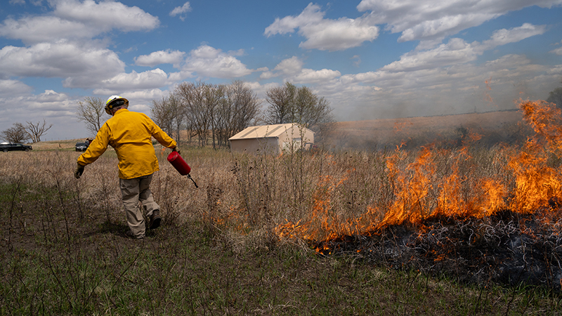 Wedin demonstrates how to lay down fire with a drip torch