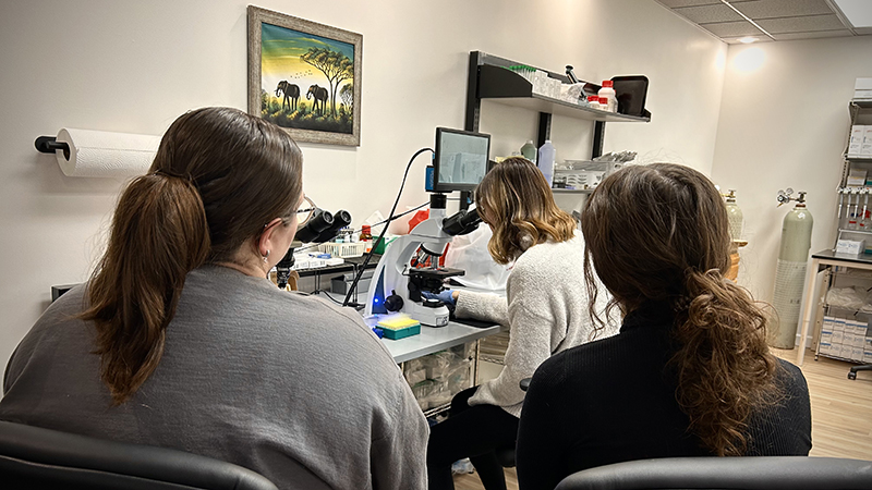Campbell prepares an elephant’s semen sample under a microscope