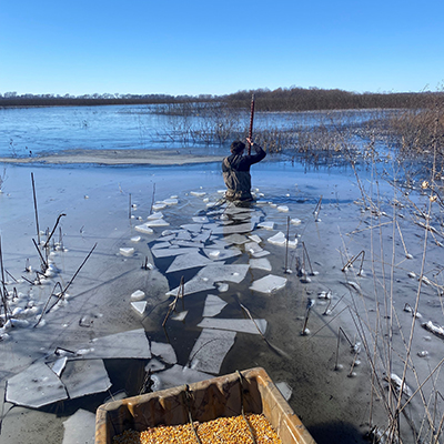 In Icy Waters