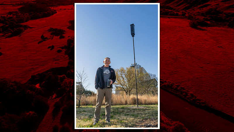 Wildlife professor and club place bat house on East Campus