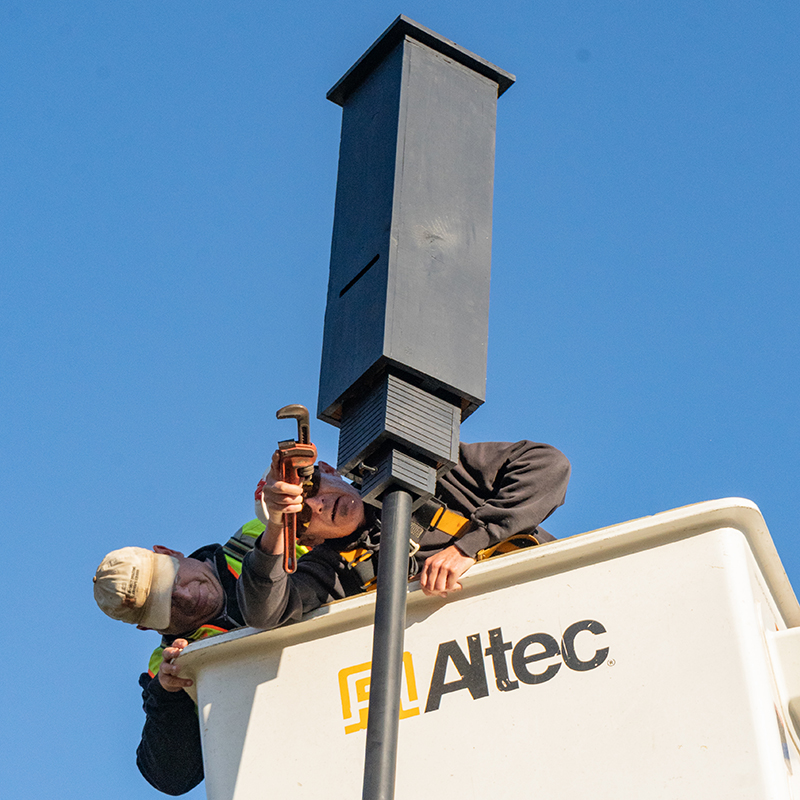 Bat Box installation by Landscape Services
