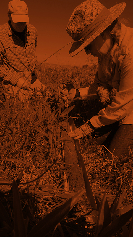 Core Sampling