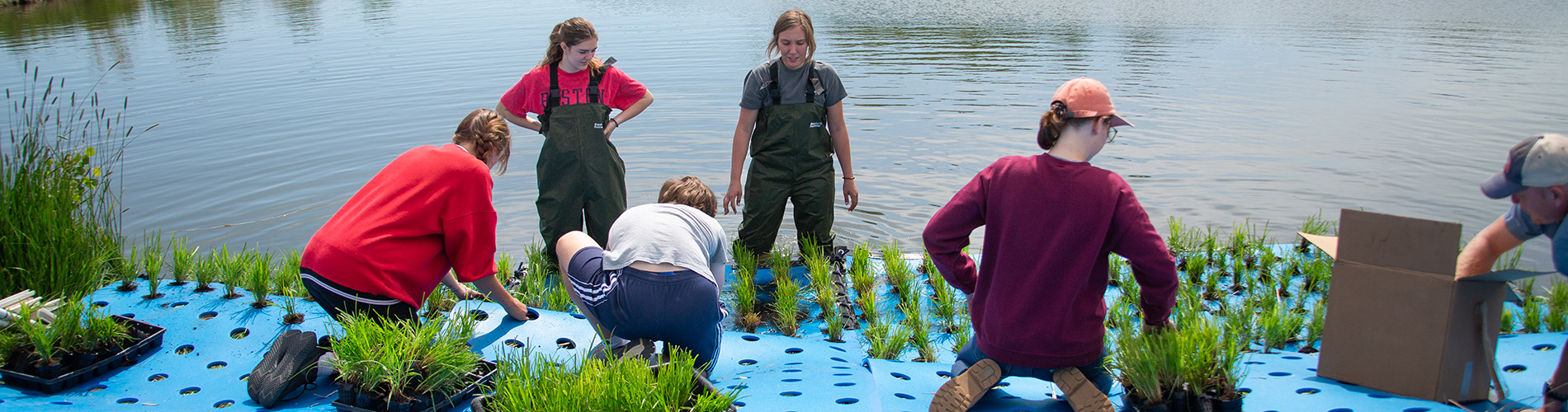 Preparing floating wetland