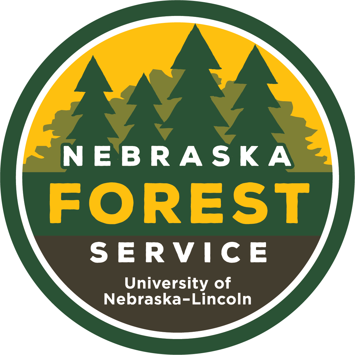 NFS Logo