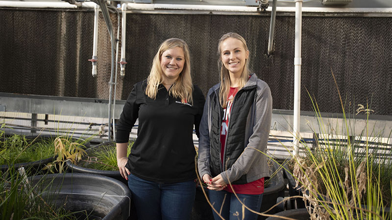 Researchers testing floating wetlands ability to survive winter