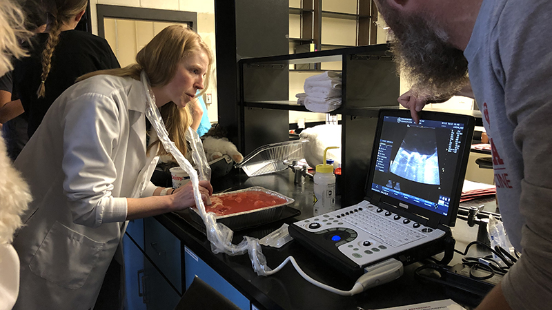 SNR Alumni: Carolyn Hanish &mdash; Nebraska's Professional Program in Veterinary Medicine 