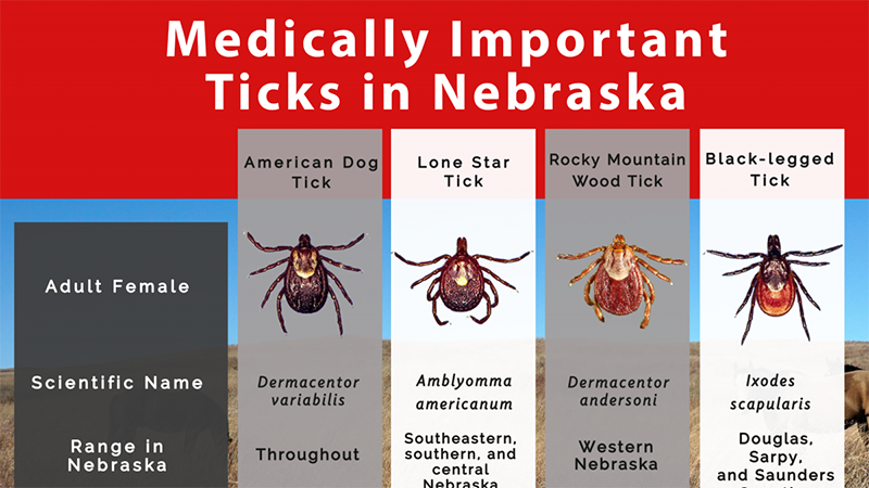 Mapping tick territory