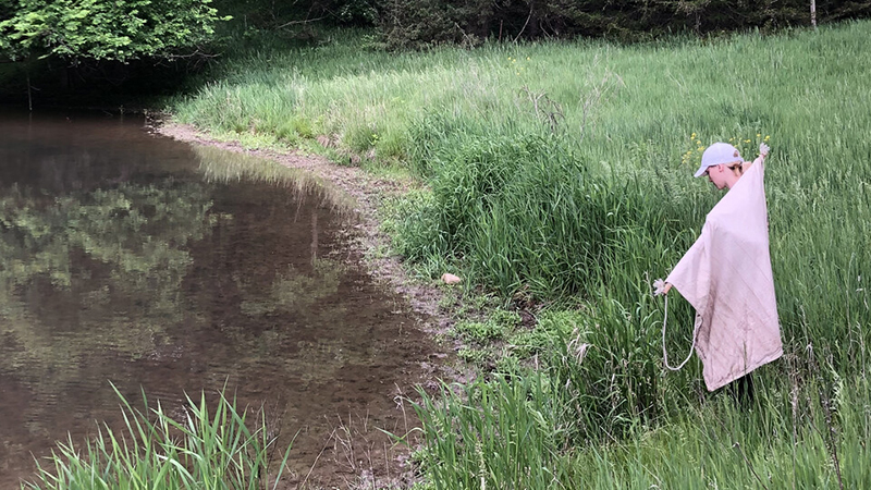 Uptick in tick-borne diseases spurs Cristiano's summer research