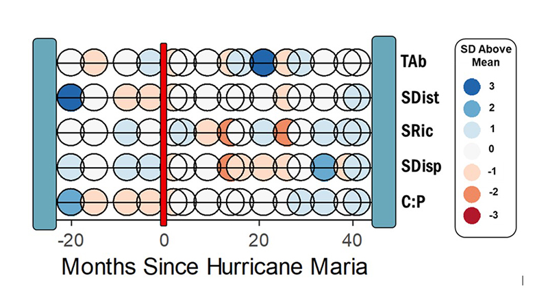 Data Visualization