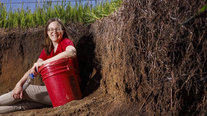 Turk Earns National Science Foundation Faculty Early Career Development Program Award