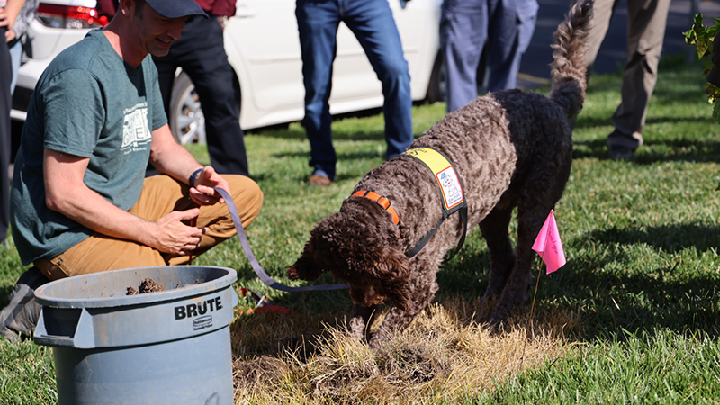 Jonas helps dig the hole for the tree