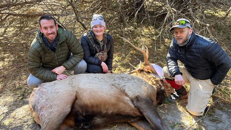 Elk returned to Nebraska in the 1960s after being eliminated from much of the Northern Great Plains in the late 1800s. Since then, elk numbers have expanded, and they now occupy much of western Nebraska.