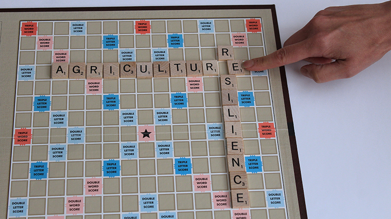 Defining ag resilience terms for national library