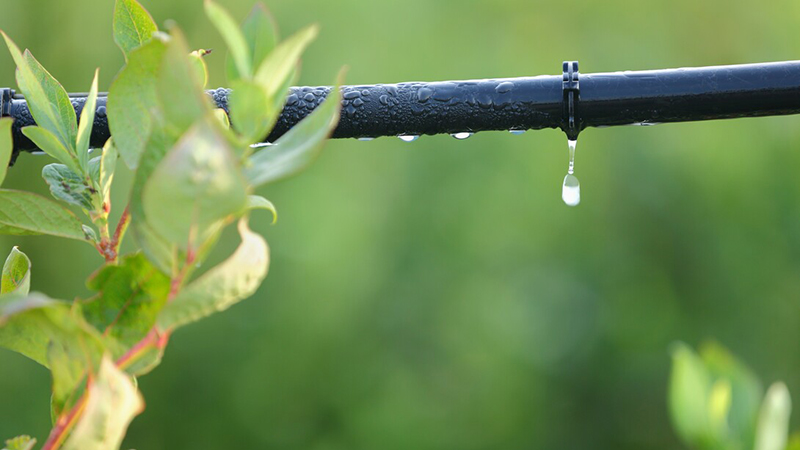 Nebraska-developed map highlights U.S. water rights systems, informs governance