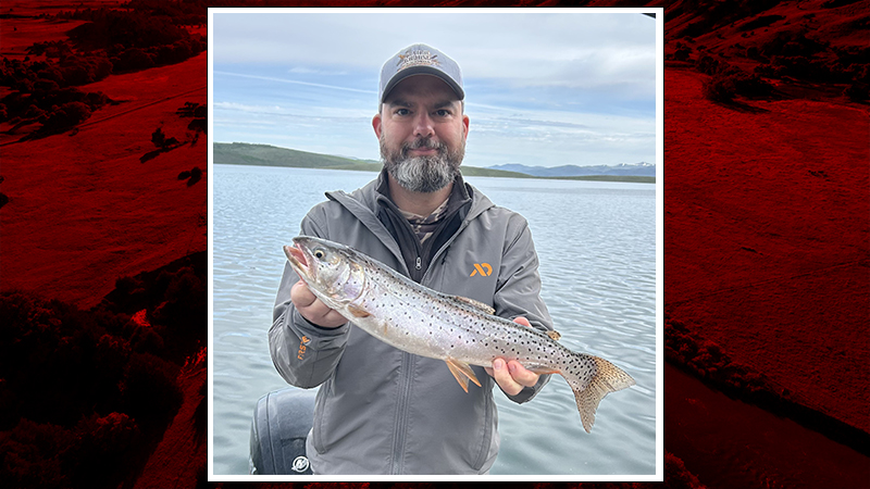 SNR Alumni: Fricke supervises wildlife research