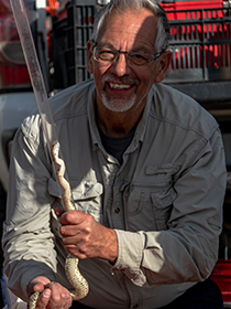 Ferraro, Dennis