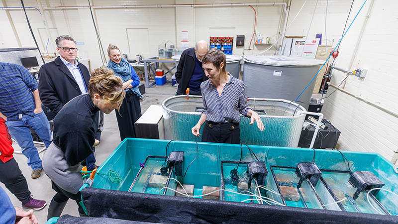 Lab manager Lindsey Chizinski explains undergraduate student research projects to CASNR Dean Tiffany Heng-Moss