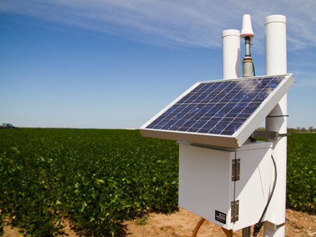 The COSMOS (COsmic-ray Soil Moisture Observing System) soil moisture sensor that measures soil moisture over a 700 m diameter area to a depth of up to 50 cm at the rainfed Carbon Sequestration field site.