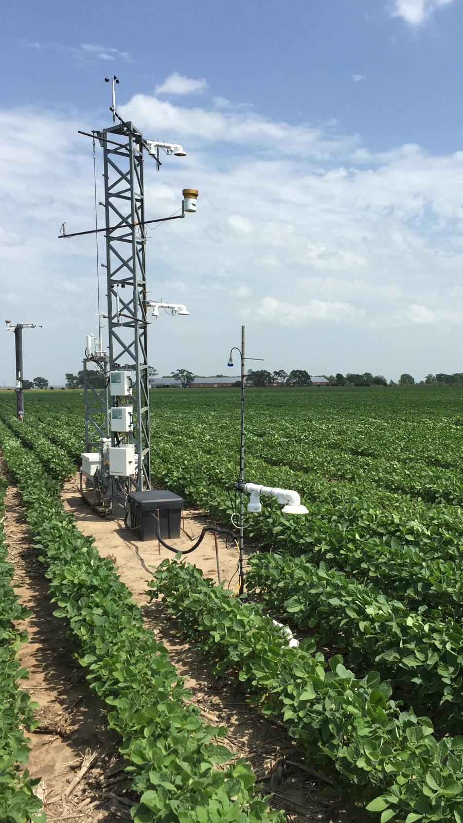 Tower eddy covariance and supporting environmental sensors