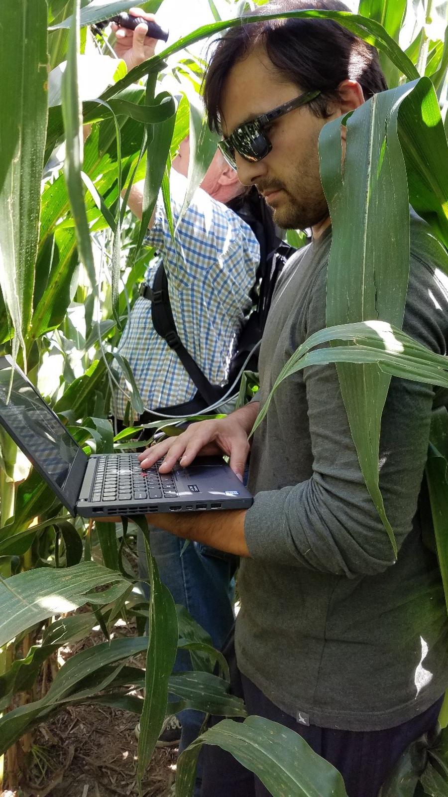 measure leaf reflectance