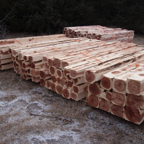 Eastern redcedar logs removed from oak woodlands to be utilized by commercial timber mills.