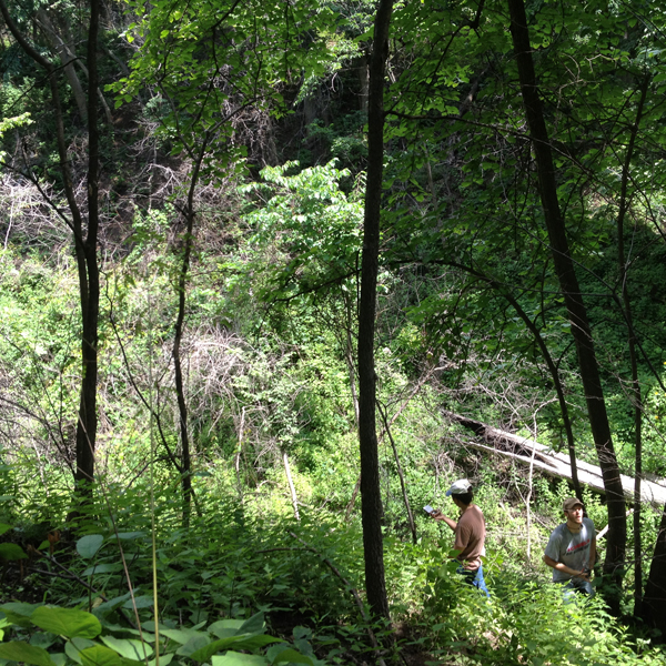 Graduate students Noelle Hart and Daniel Uden survey forest conditions at Indian Cave State Park.