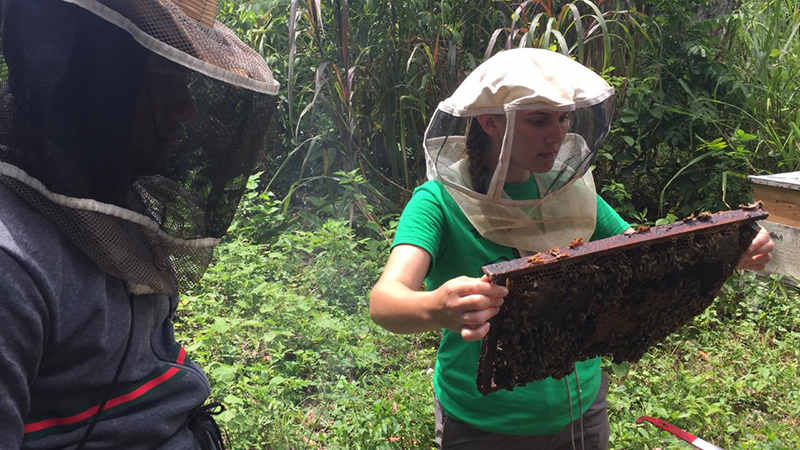 Bridget with Bees