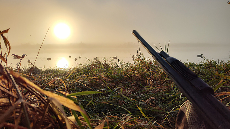 Sunrise