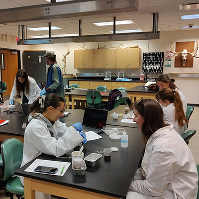 Lab Class